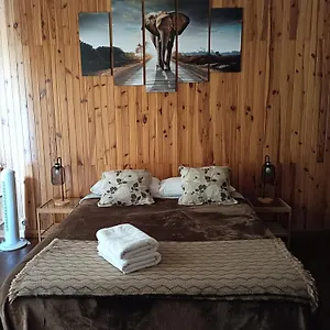 Tenerife Dreams Coffee&bed , Santa Cruz de Tenerife Spanien